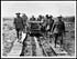 Thumbnail for 'D.1239 - Laying a light railway over captured ground'