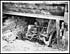 Thumbnail for 'D.1243 - Boche gun in concrete pit, one shell jambed in breech and one in mouth of gun to stop us using it against its owners'