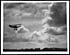 Thumbnail for 'L.555 - Homeward bound: a scout returning to her aerodrome'