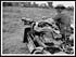 Thumbnail for 'L.776 - Motor machine gunner in France fixing a belt of ammunition to his gun'