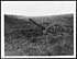 Thumbnail for 'X.32061 - Dummy gun erected in a gun pit by the Germans to deceive our airmen'