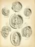 Thumbnail for 'Illustrated plate - Bishops' seals'
