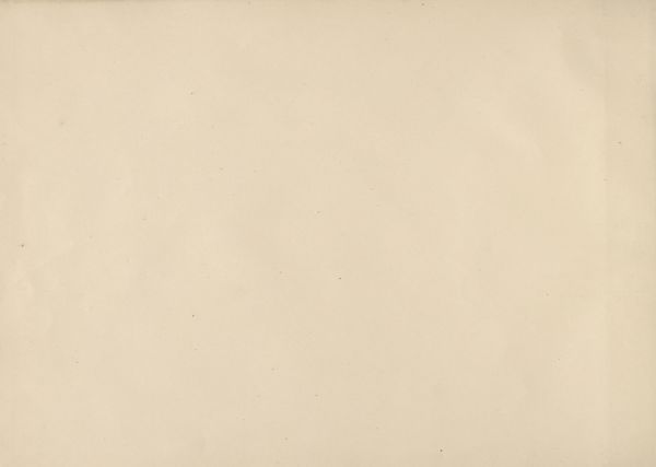 (4)