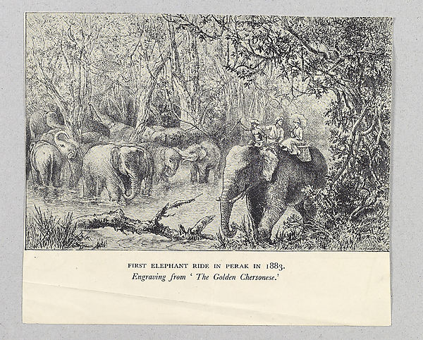 (2) Folio 94 - First elephant ride in Perak in 1883