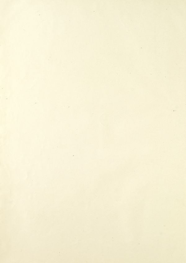 (4)