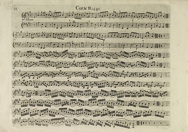 (18) Page 12 - Corn riggs