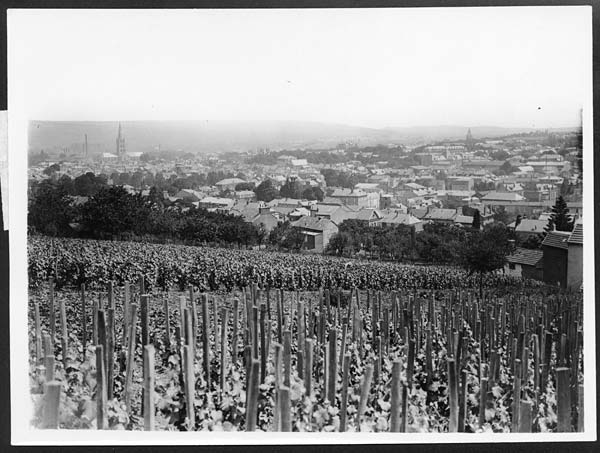 (73) D.2780 - View of Epernay of wine fame which the Germans are bombing and shelling