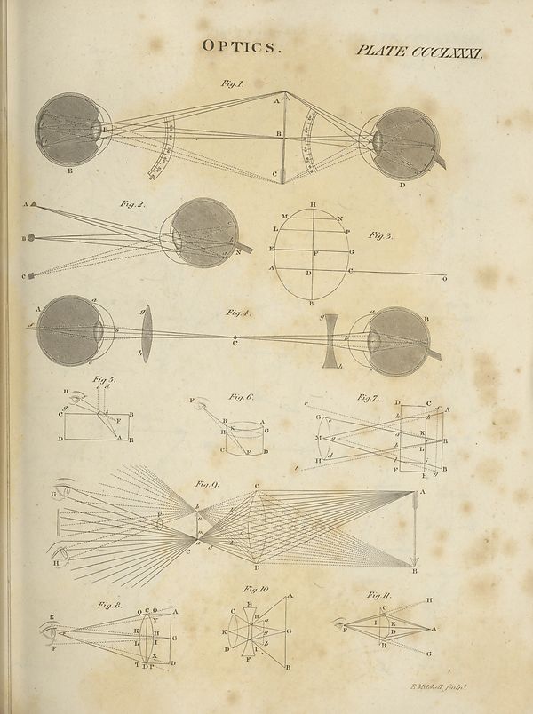 (321) Plate 381 - 