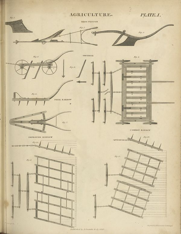 (429) Plate 1 - 