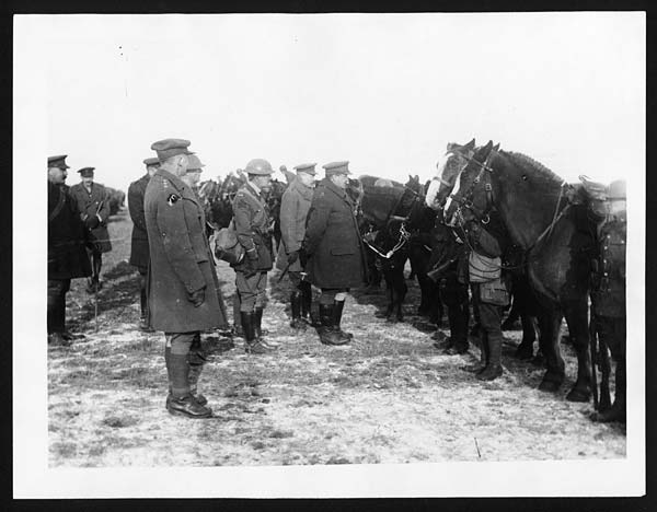 (4) C.1241 - Inspecting the horse transport of a Canadian Battalion