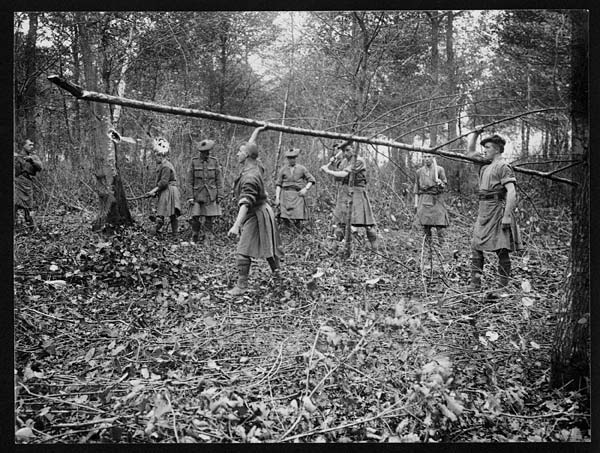 (2) C.1006 - Wood is used for making up the roads on the Somme