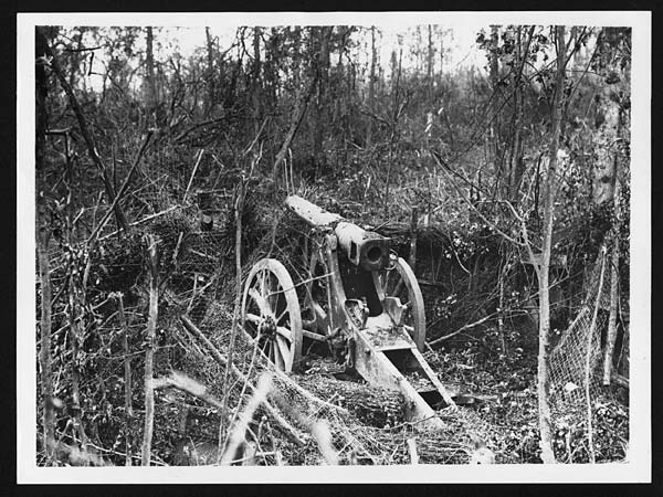 (341) C.575 - German field gun in Mametz Wood