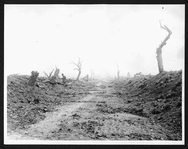 (346) C.684 - Main road into Guillemont, taken Monday 11.9.16. after a few shells had been put on the road