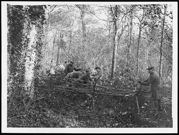 (422) D.529 - Highlanders cutting up branches to make fascines for road making