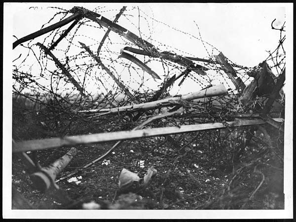 (469) D.645 - Idea of the strength of the German barbed wire at Beaucourt