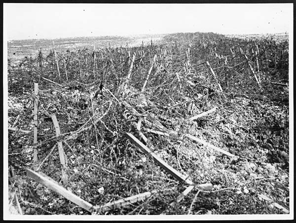 (122) D.1340 - Part of the wire entanglements in front of the Hindenburg line