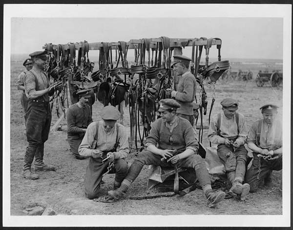 (132) D.1362 - Artillery drivers cleaning up their harness