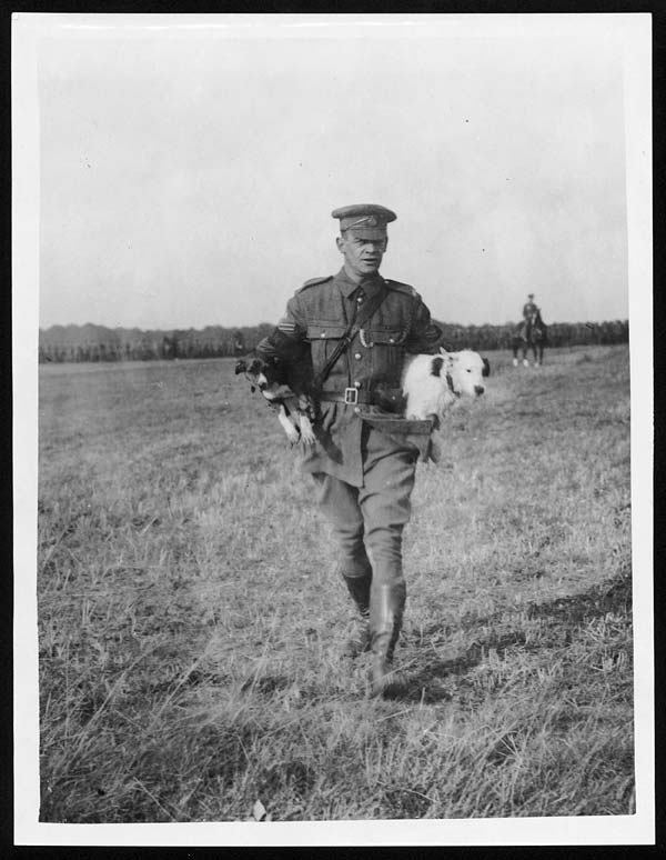 (24) X.27001 - Military Police had their work cut out to keep the dogs off the parade ground