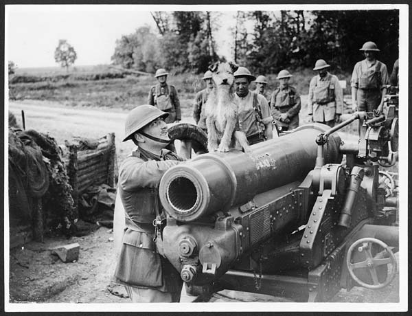 (51) N.469 - Mascot of a battery who are kept very busy shelling the Germans