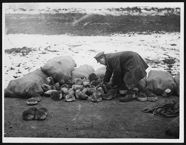 (117) X.33073 - Portioning out the bread at a road-side dump