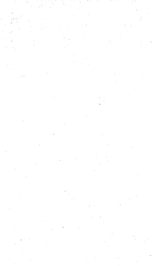 (46)