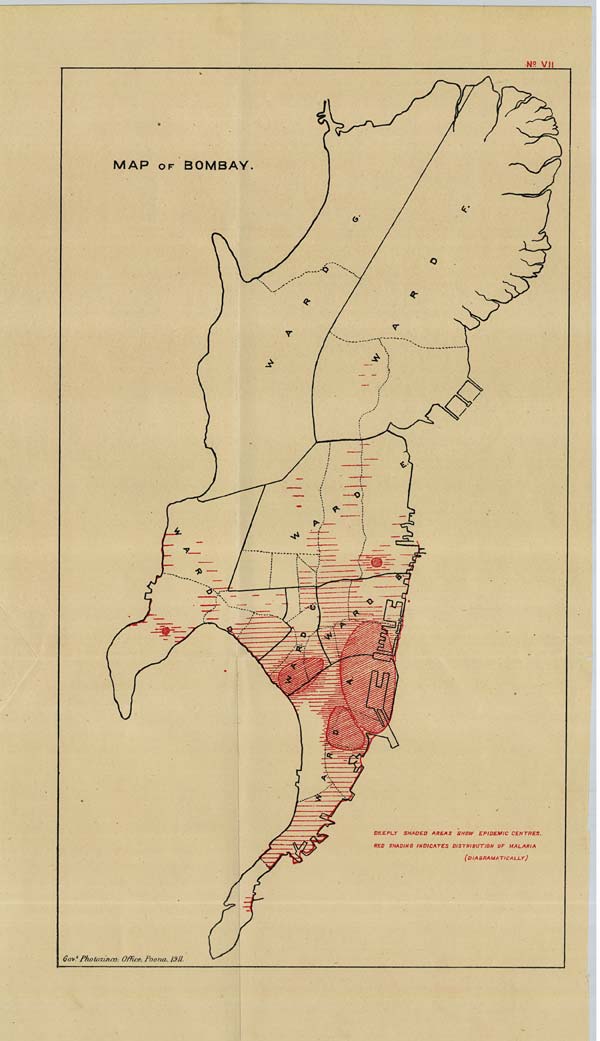 (119) Map No. VII - 