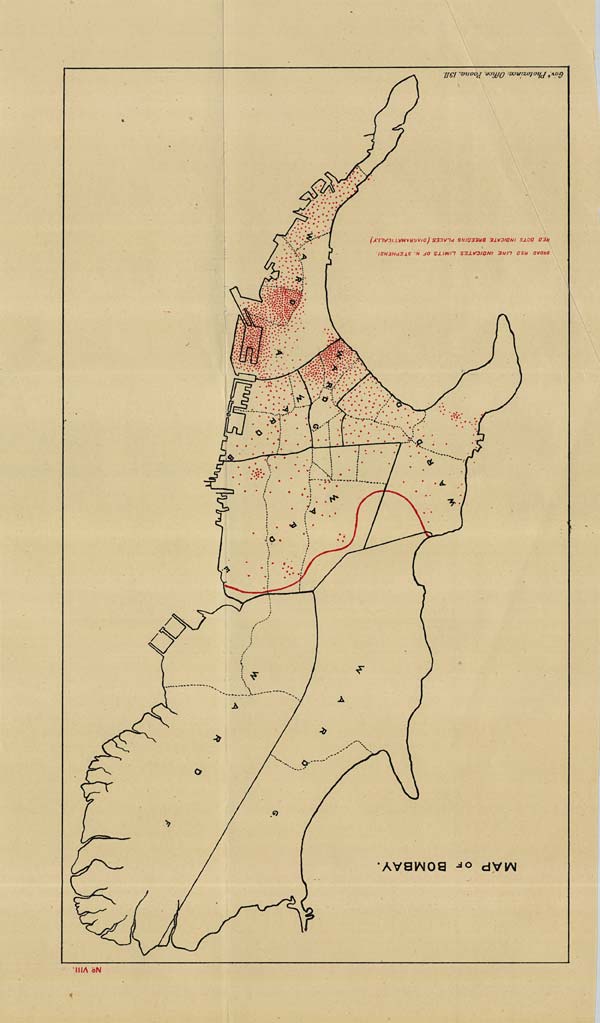 (122) Map No. VIII - 