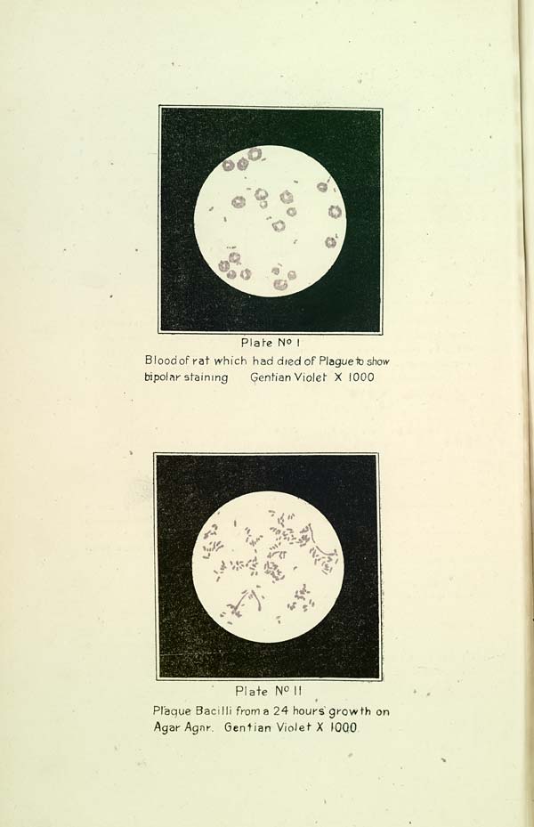 (172) Plates Nos. I and II - 