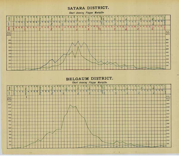 (329) Chart - 