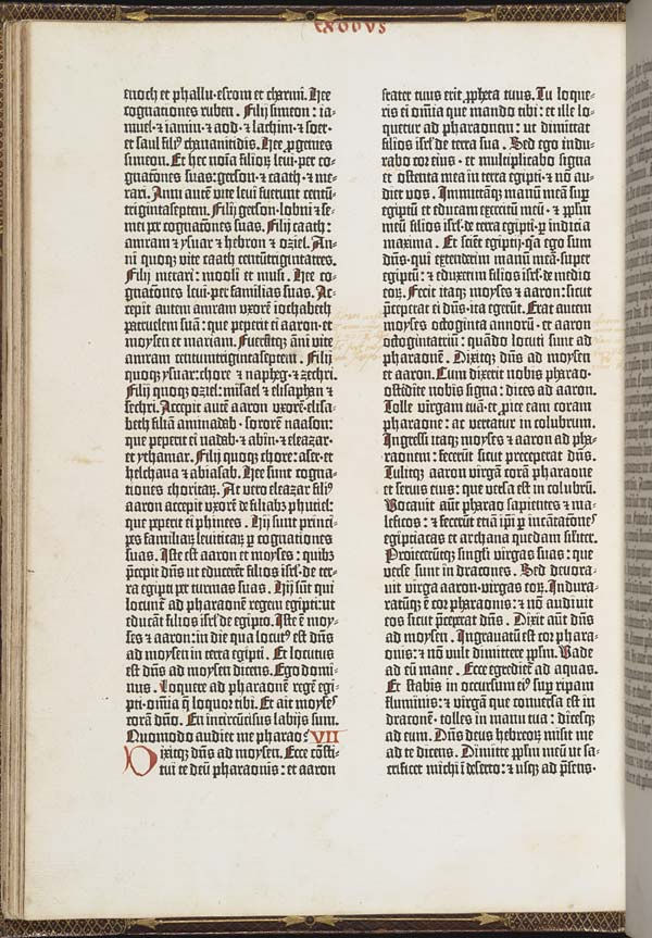 (6) Folio 31 verso - 