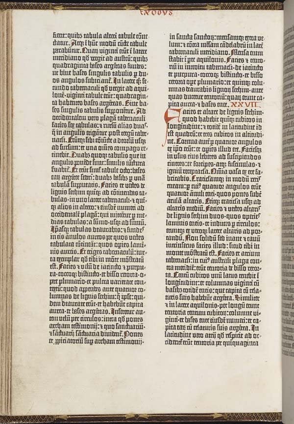 (26) Folio 41 verso - 