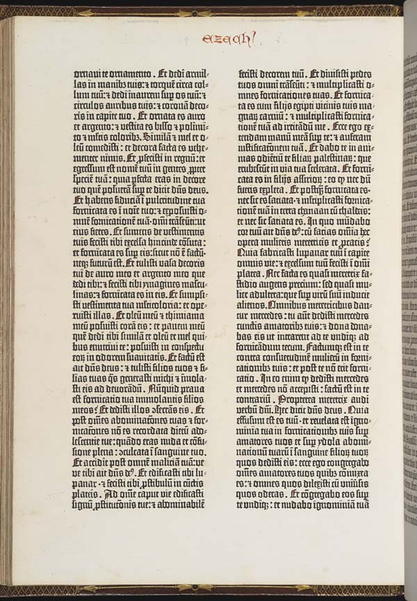 (14) Folio 111 verso - 