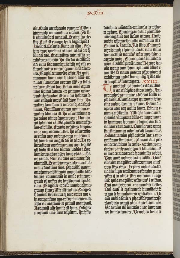 (24) Folio 202 verso - 