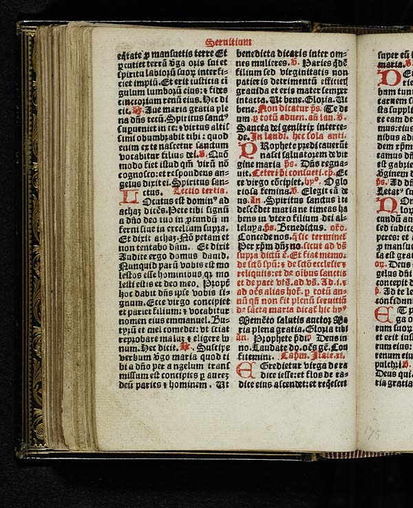 (234) Folio 116 verso - 