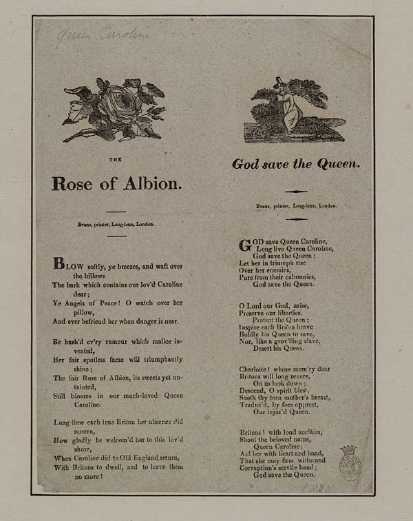 (22) Rose of Albion