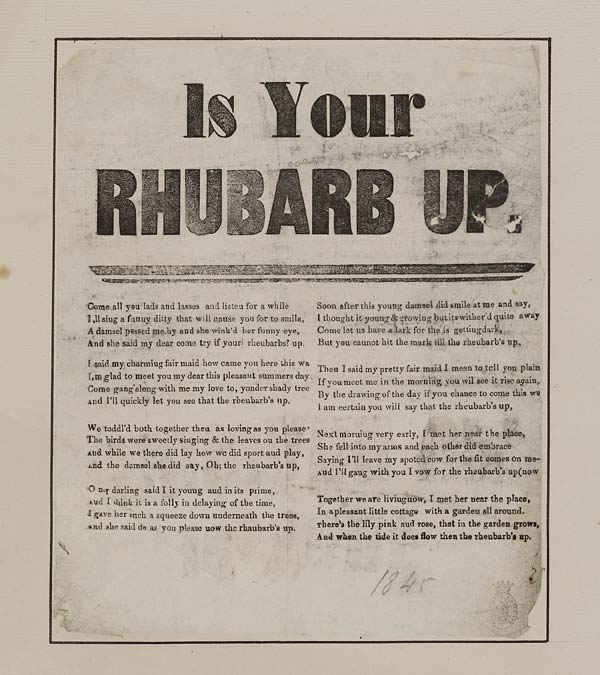 (29) Is your rhubarb up