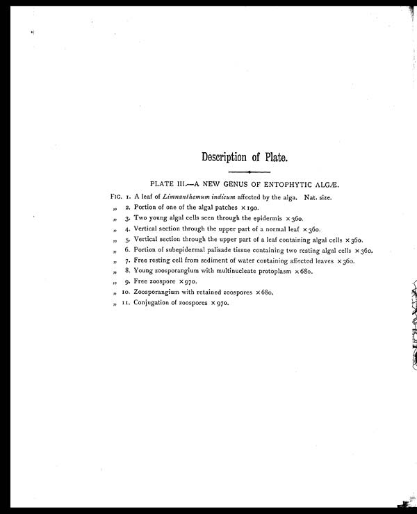 (41) Transparency -