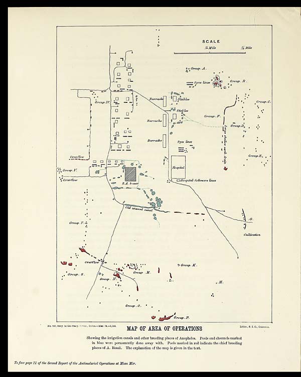 (5) Plate - 