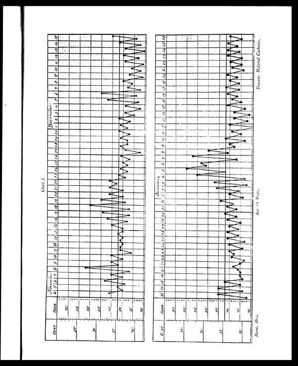 (49) Plate - 