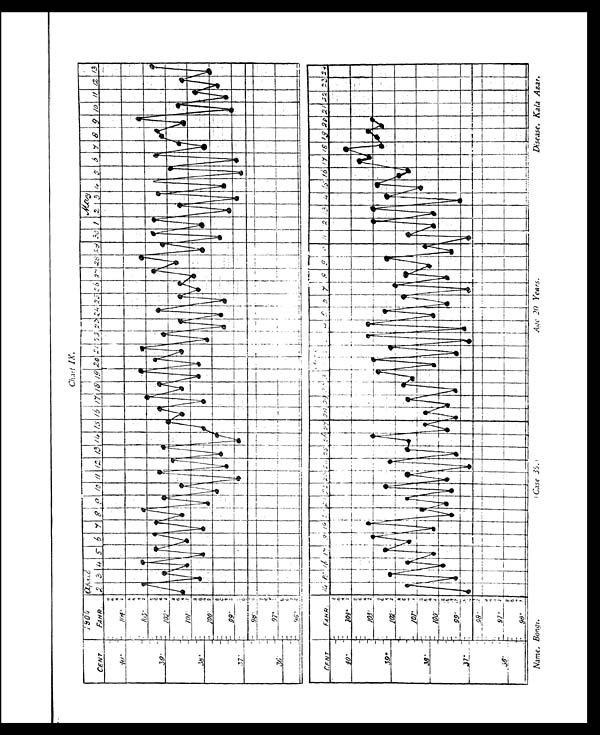 (61) Plate - 