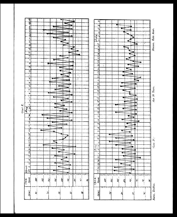 (63) Plate - 