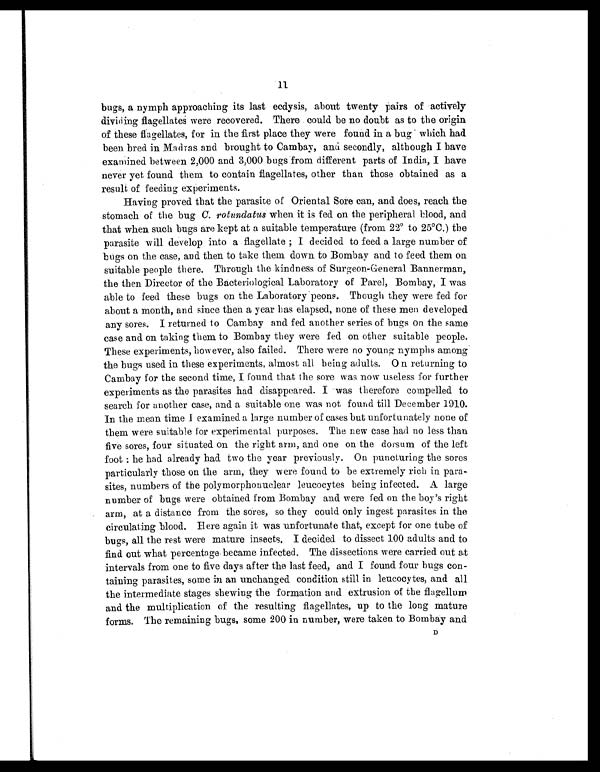 (11) Page 11 -