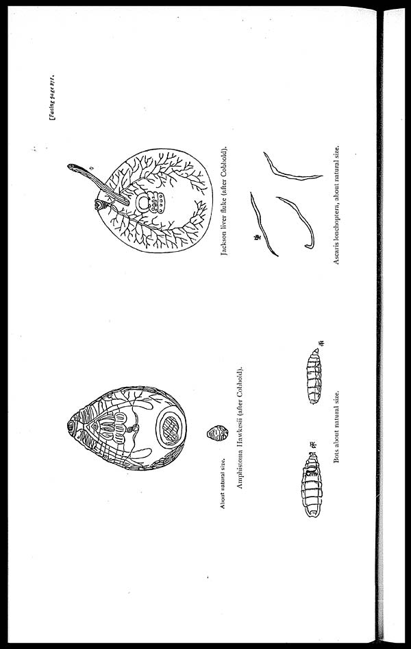 (120) Plate - 