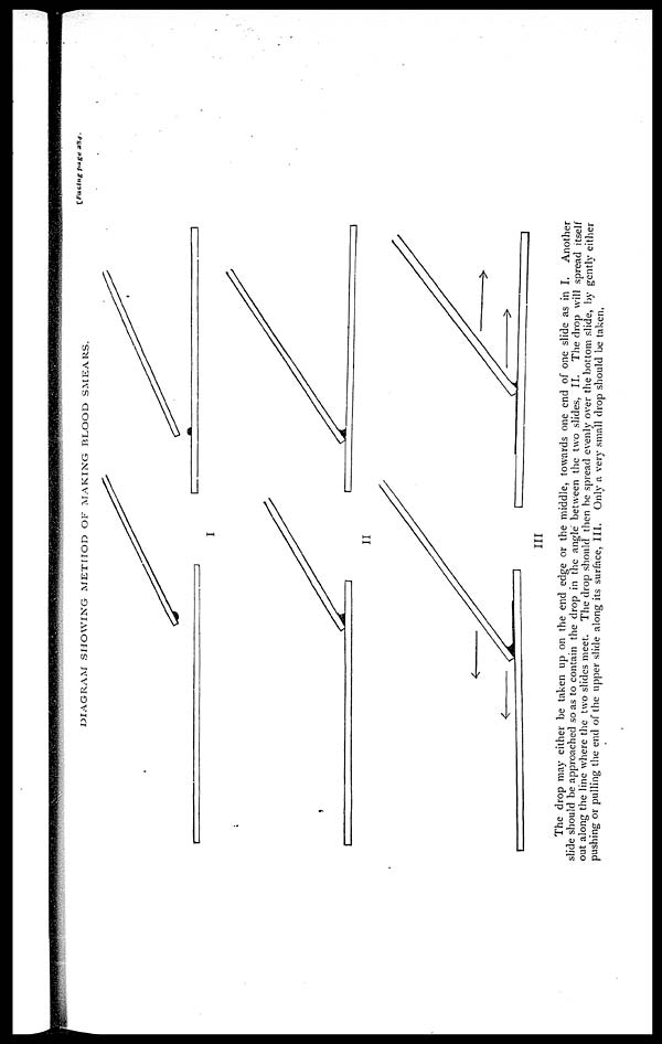 (5) Plate - 