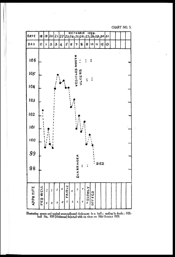 (13) Chart no. 5 - 