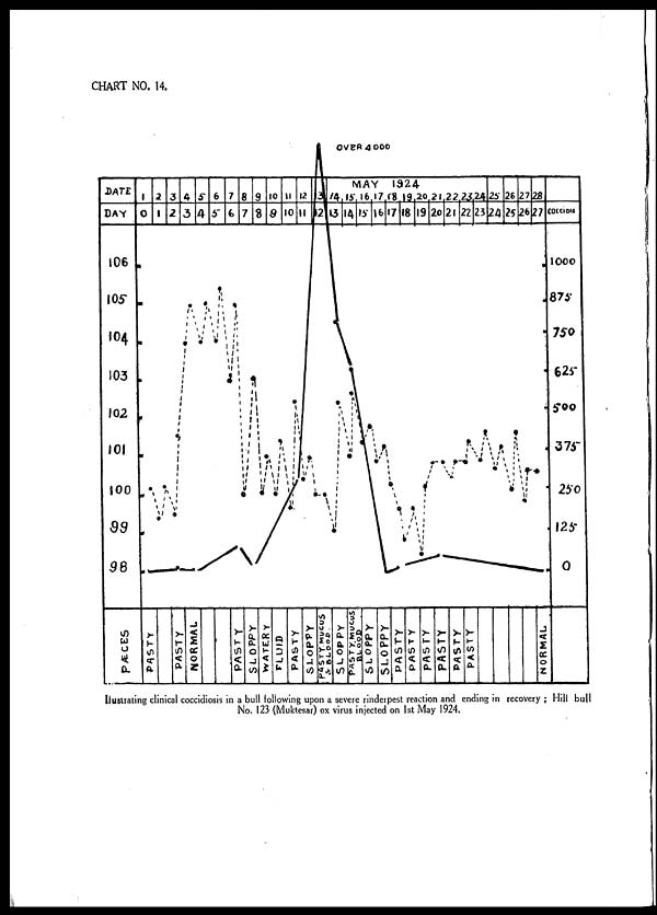 (30) Chart no.14 - 