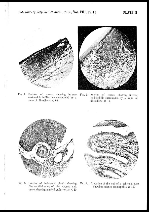 (9) Plate II - 