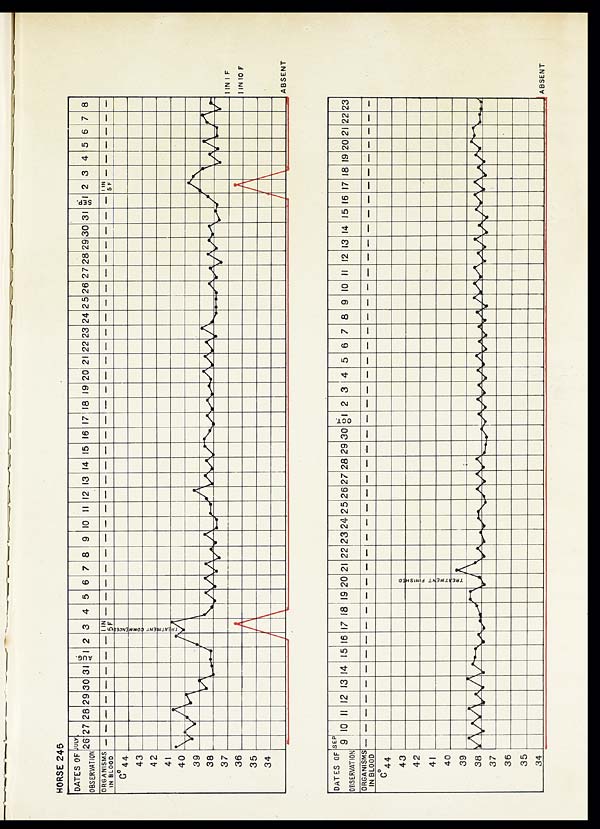 (143) Chart - 