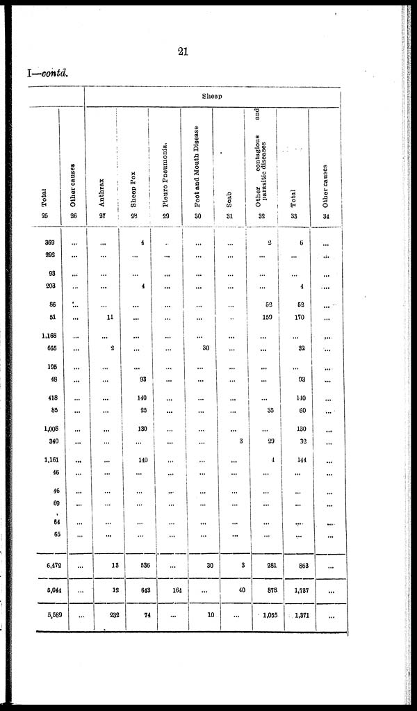 (23) Page 21 - 