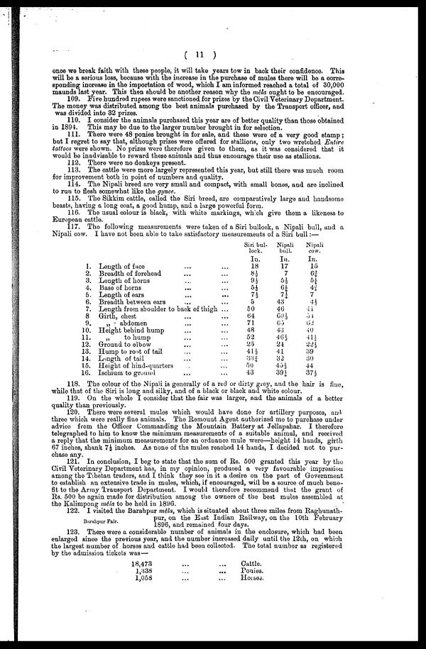 (11) Page 11 -